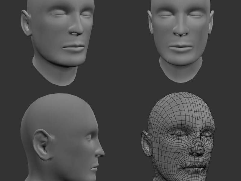Human Head Model